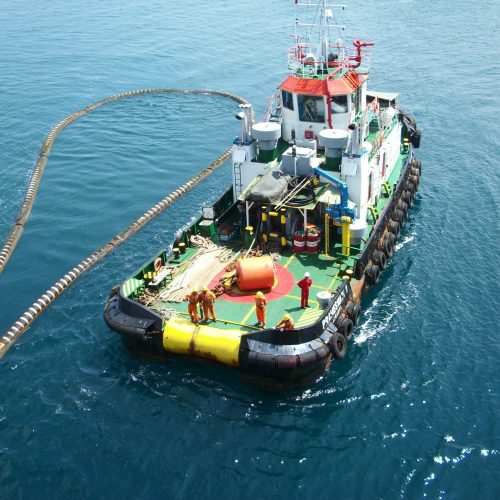 3 Photo PW 1 animate