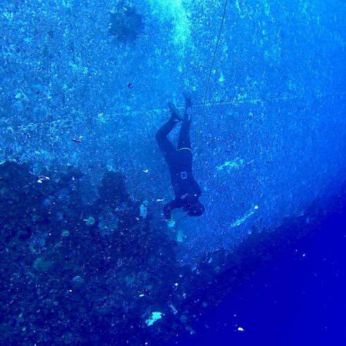 This photo is taken with Brica B-PRO5 Alpha Edition MK.IIS